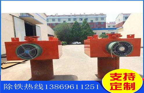 風冷電磁除鐵器,江蘇風冷電磁除鐵器多少錢_新疆風冷電磁除鐵器參數工作原理_價格 風冷電磁除鐵器,江蘇風冷電磁除鐵器多少錢_新疆風冷電磁除鐵器參數工作原理_價格